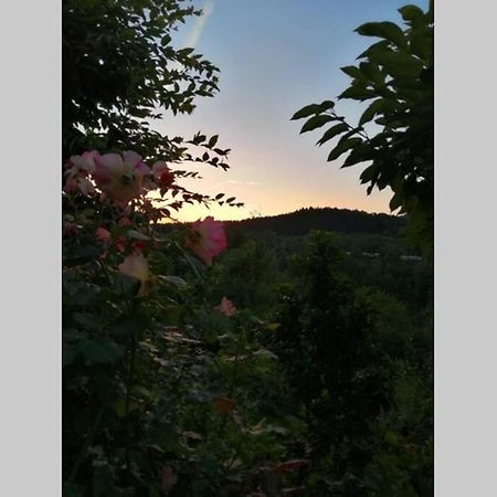 Nachhaltiges Wohnen In Seenaehe Schoemberg  Esterno foto