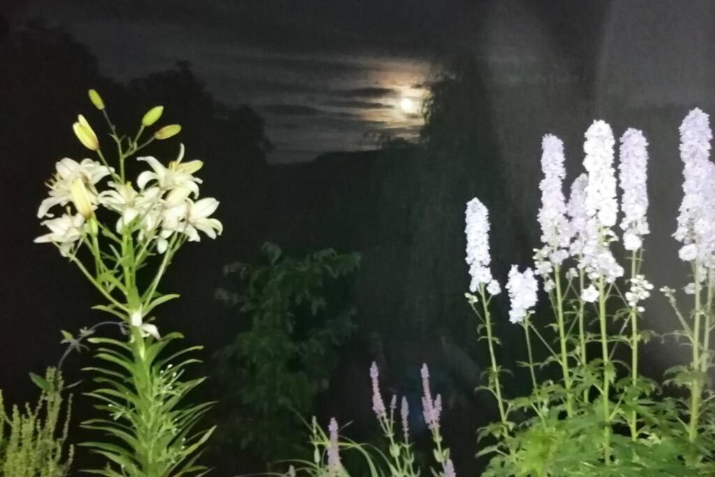 Nachhaltiges Wohnen In Seenaehe Schoemberg  Esterno foto