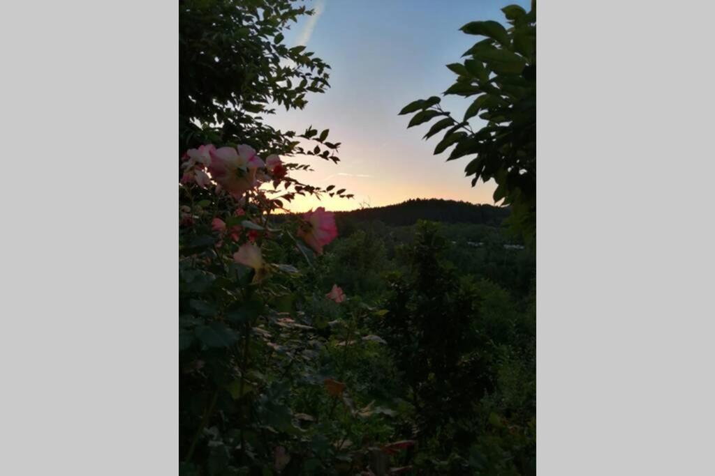 Nachhaltiges Wohnen In Seenaehe Schoemberg  Esterno foto
